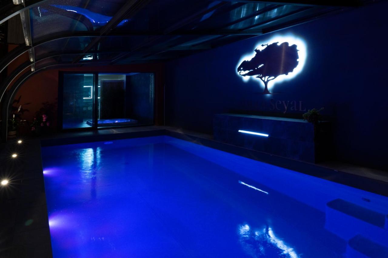 Villa Seyal - Avec Piscine - Jacuzzi - Sauna & Climatisation Le Mans Kültér fotó